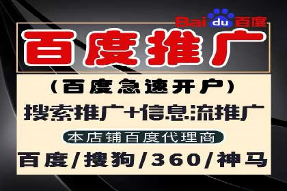 案例解析：托管SEM竞价助力企业腾飞